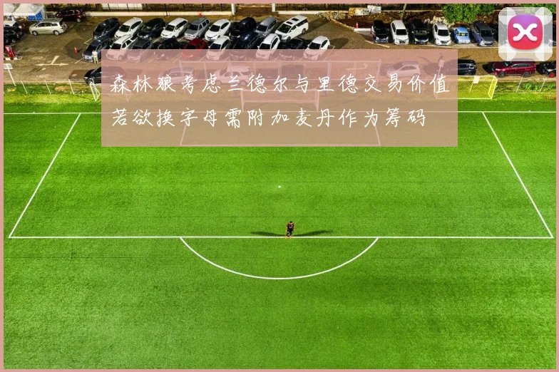 森林狼考虑兰德尔与里德交易价值若欲换字母需附加麦丹作为筹码
